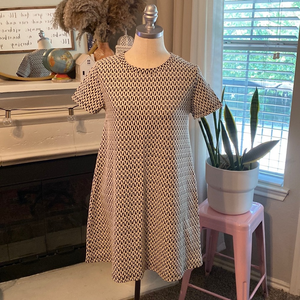 Zara | Black + Cream Mini Dress